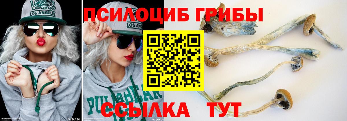 Псилоцибиновые грибы Psilocybine cubensis  Вход с VPN  Златоуст 